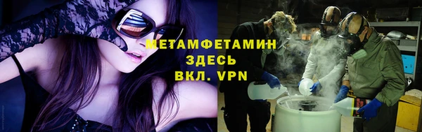 прущие грибы Баксан