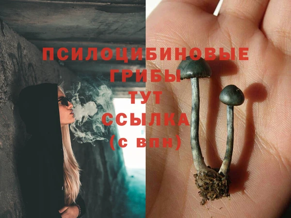 не бодяженный Аркадак