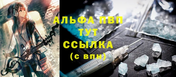 прущие грибы Баксан