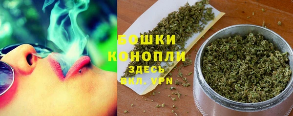 прущие грибы Баксан