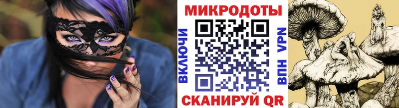Галлюциногенные грибы Cubensis  сколько стоит  мега tor  Зеленодольск 